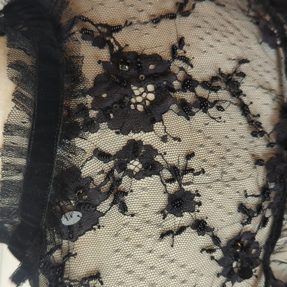 Zara Woman Embroidered sheer Tulle Top Witchy velvet Bow Black Size L - Picture 13 of 16